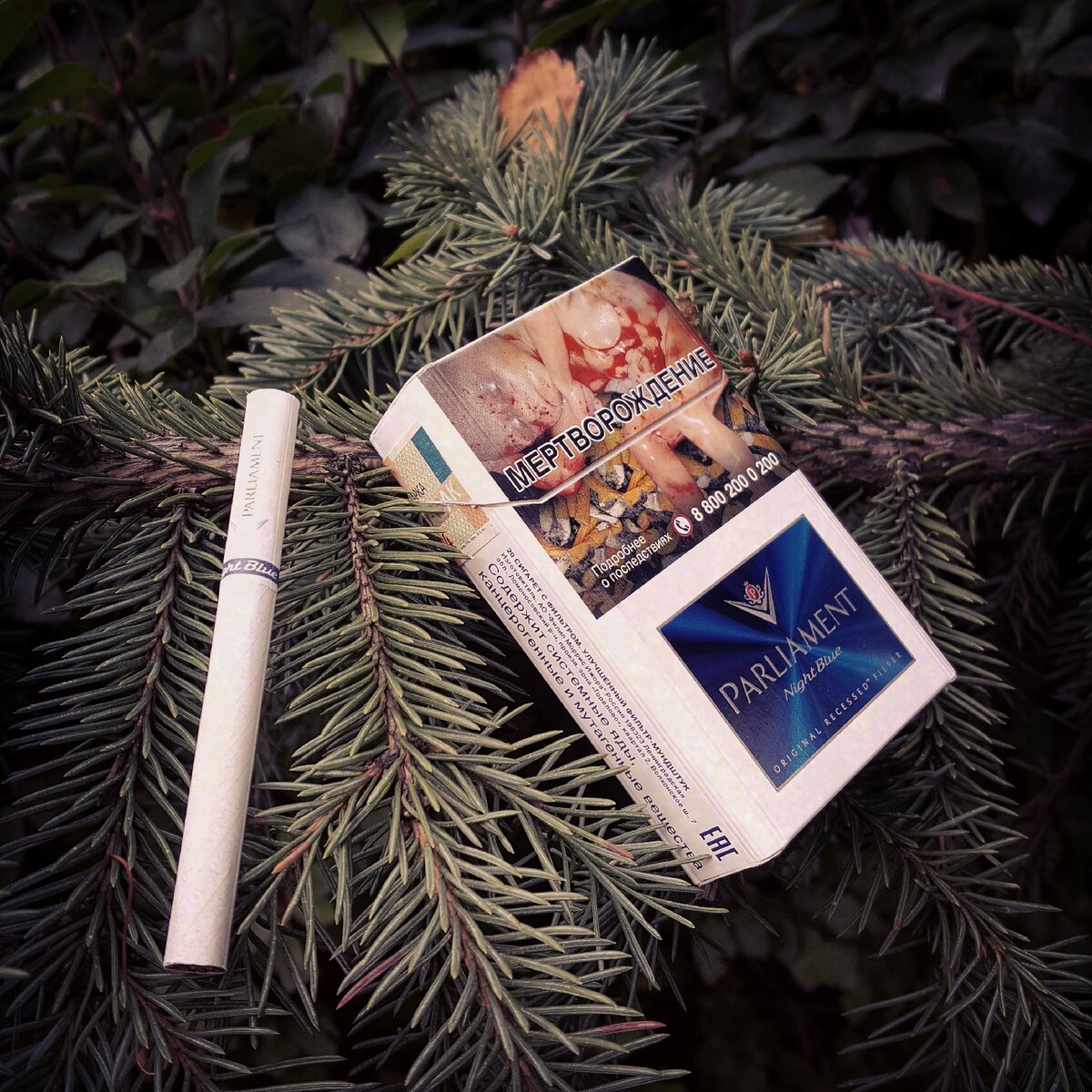 Parliament Night Blue