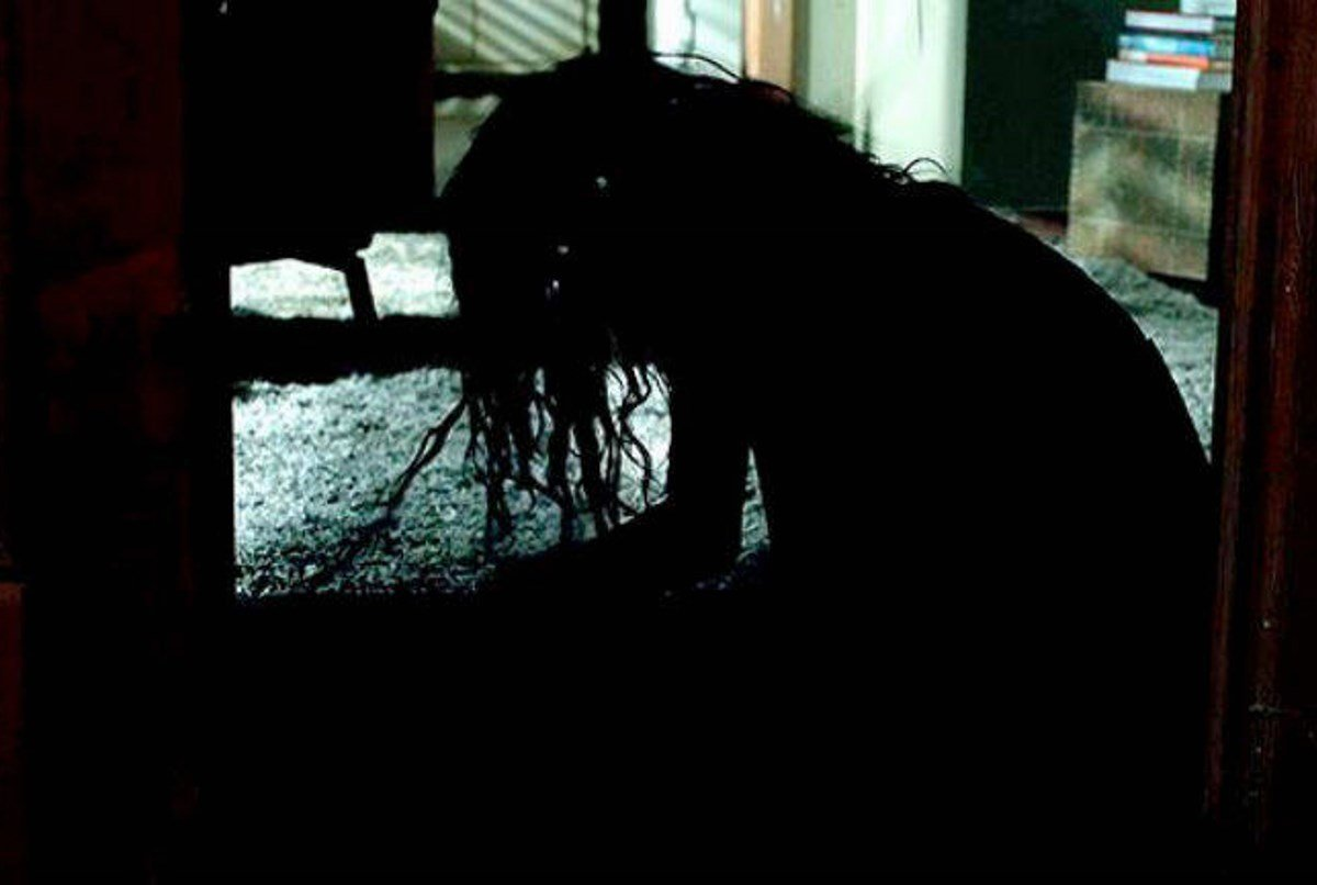  И гаснет свет.