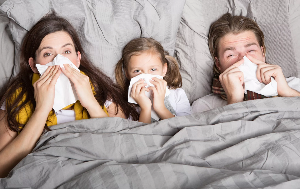 Изображение из открытых источников.