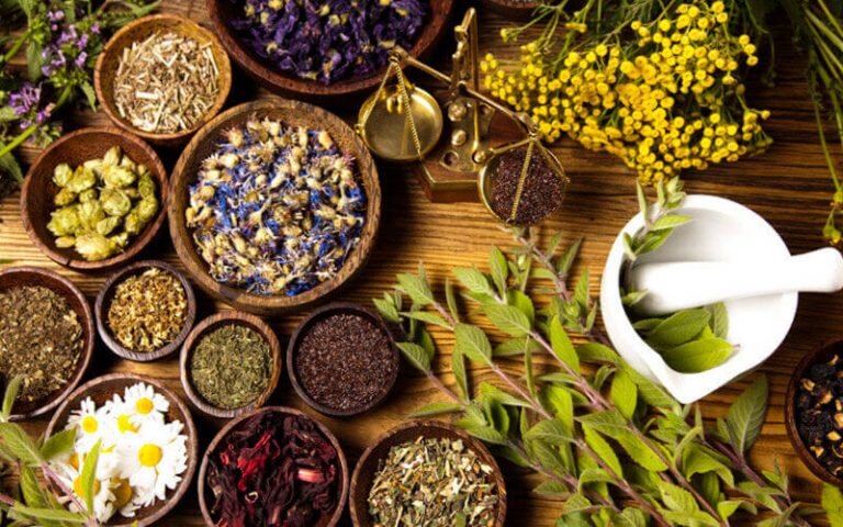 фото Яндекс картинки