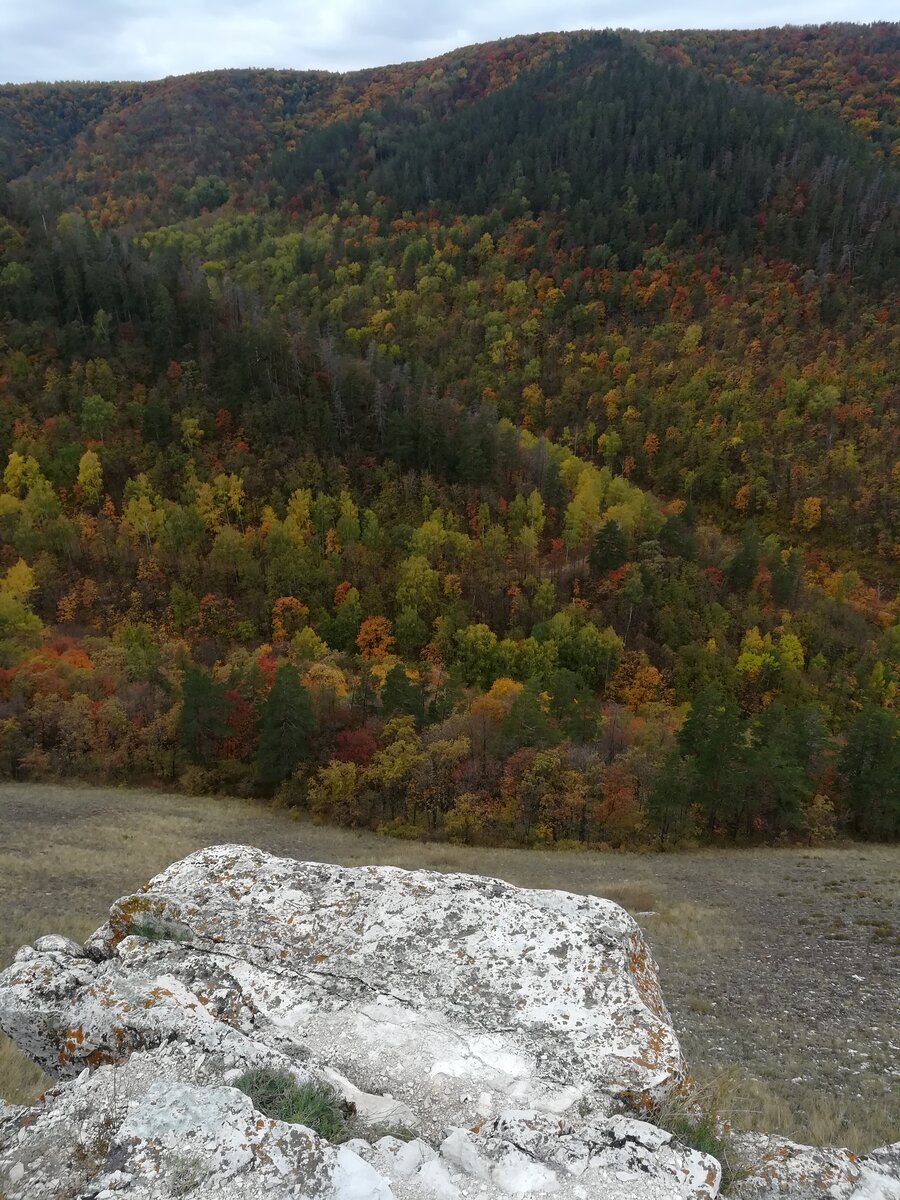 Самарская лука гора Стрельная осенью