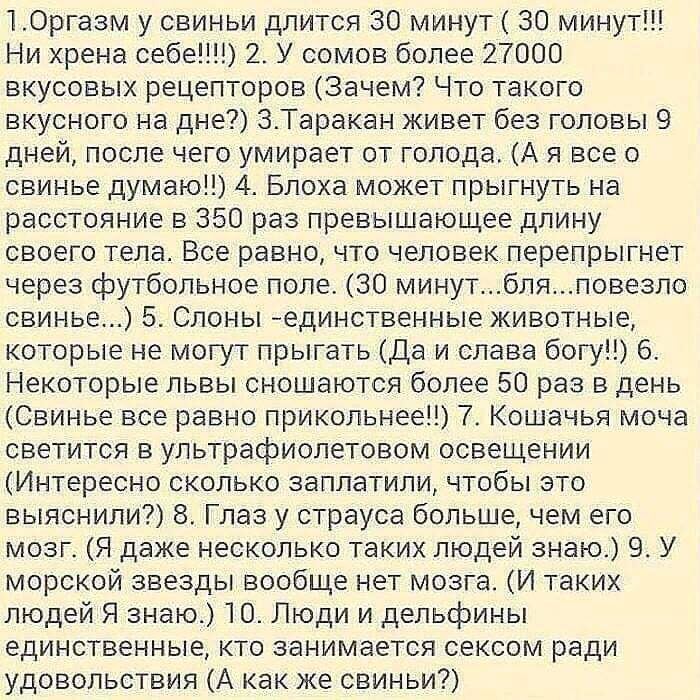 Полезно знать для кругозора!