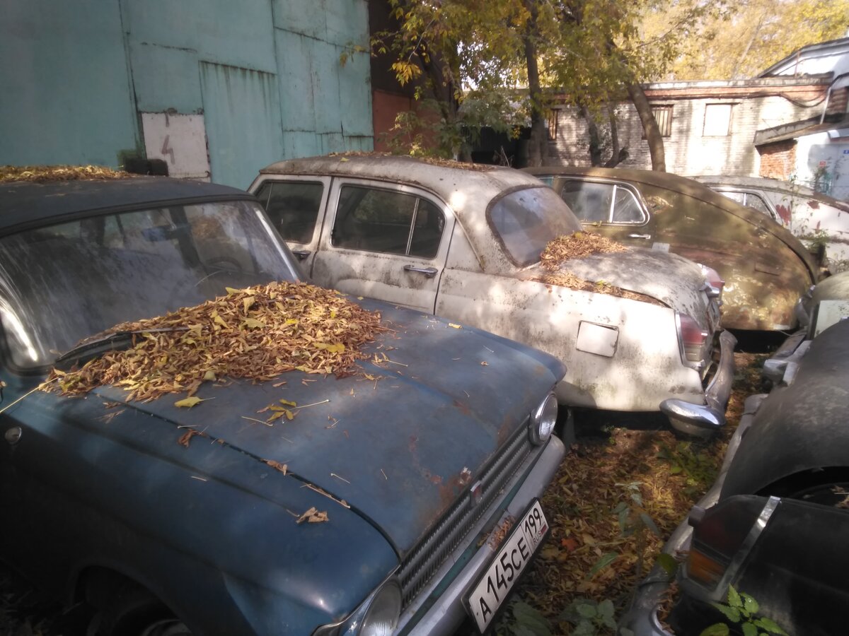 Свалка ретро автомобилей в Москве | Охотник за брошенными АВТО | Дзен