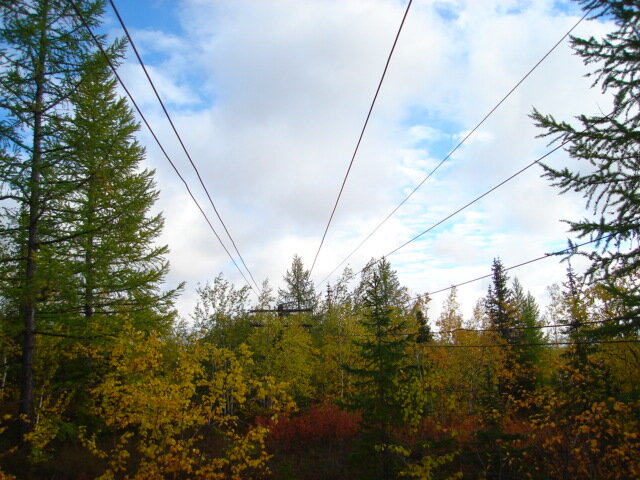 Остатки телефонной связи на 501 стройке. Фото Всеволод Липатов, 2007 г.