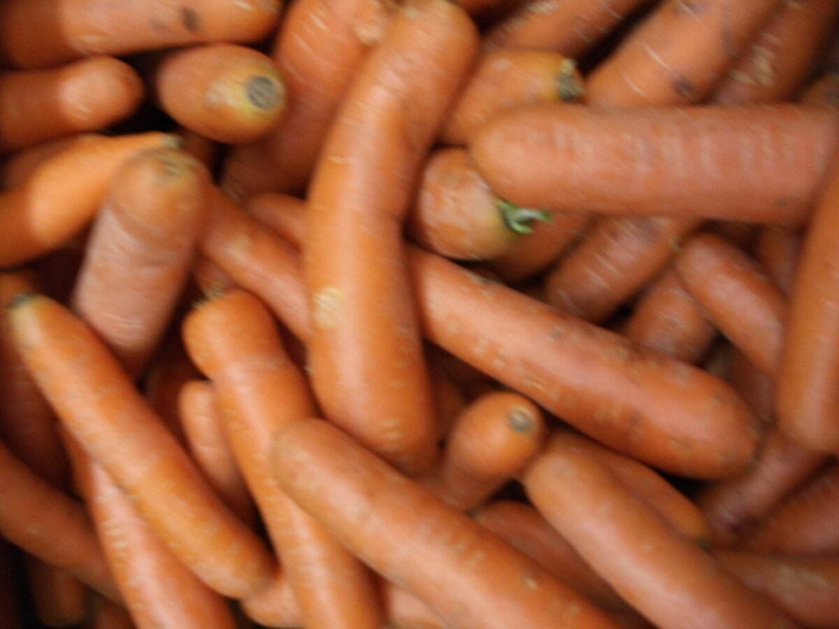 урожай прошлого года