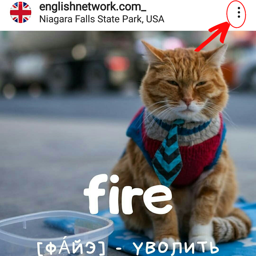 Открыть опции