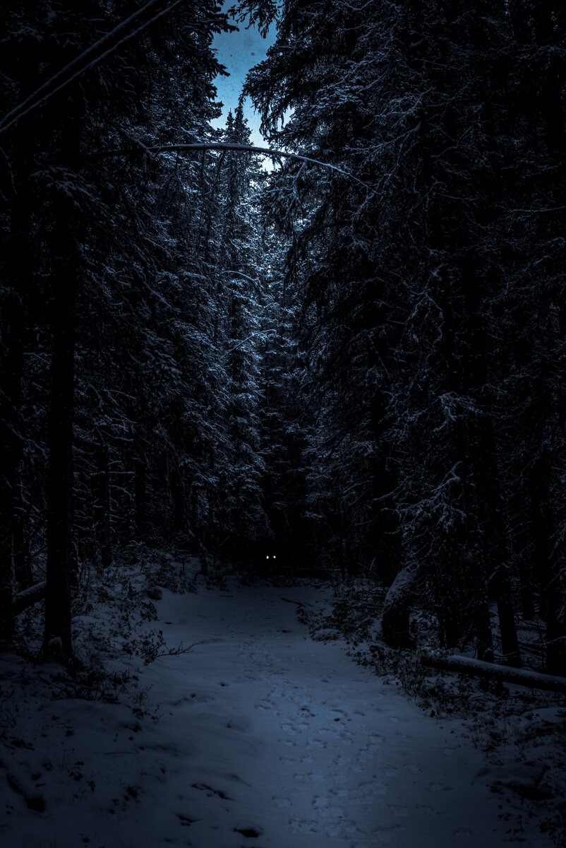 https://unsplash.com/photos/KG-9TUrAFsg