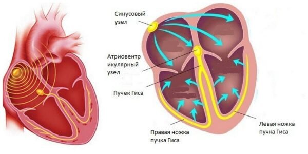 АВ-блокада