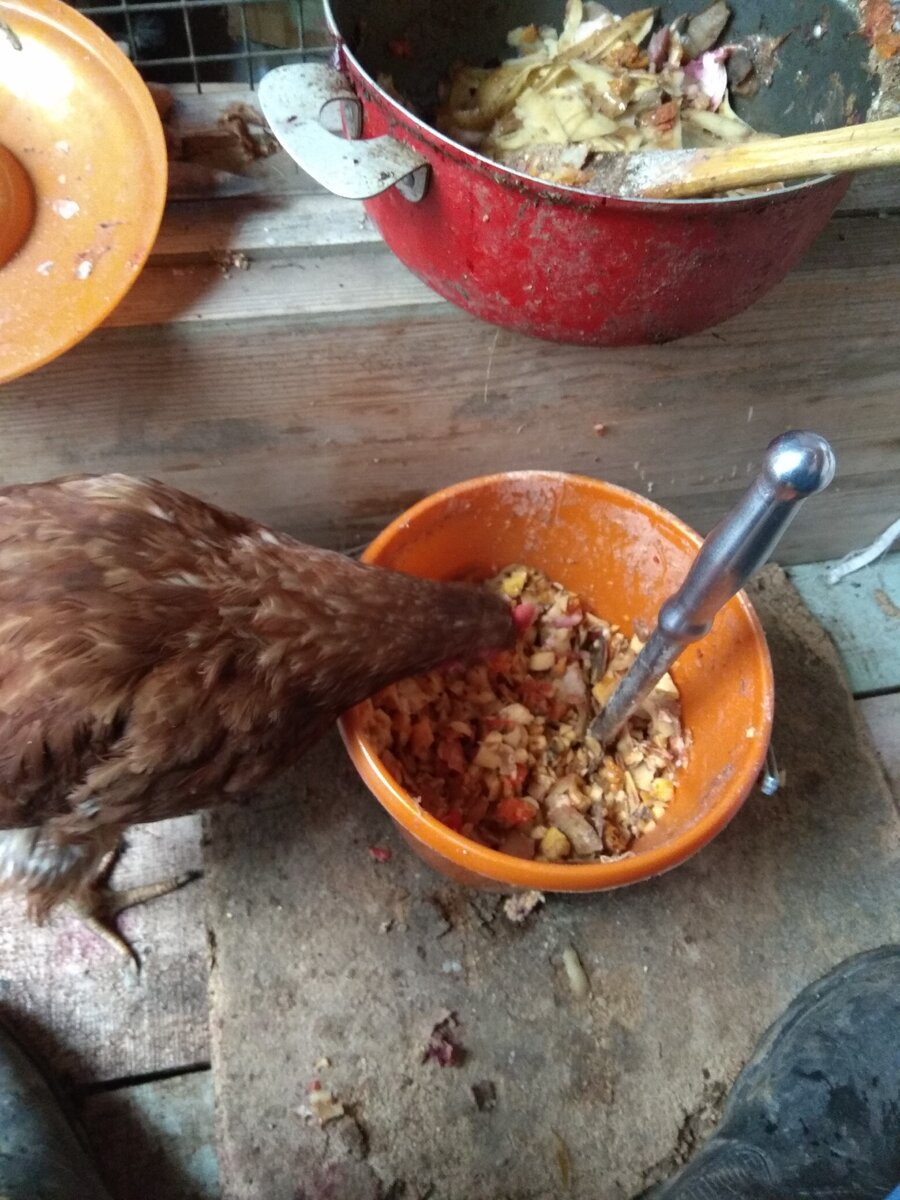 Этой тяпкой я рублю