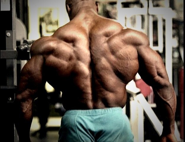 Мощная спина бодибилдера
