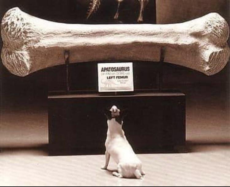 Сильные кости - залог здоровья.