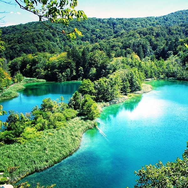 Источник: Яндекс. Картинки