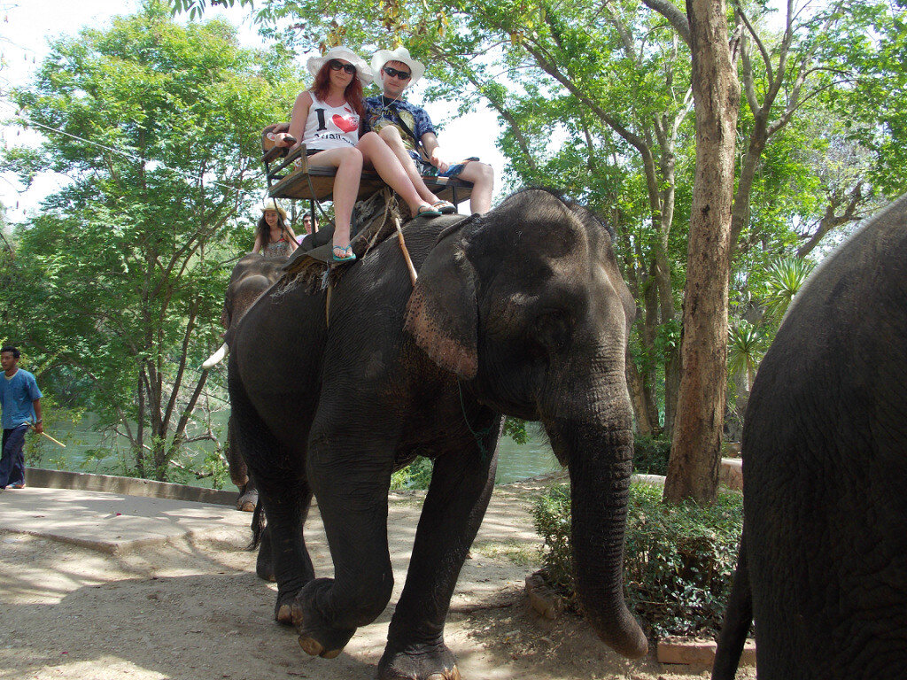 Катание на слонах. Слоновья деревня.