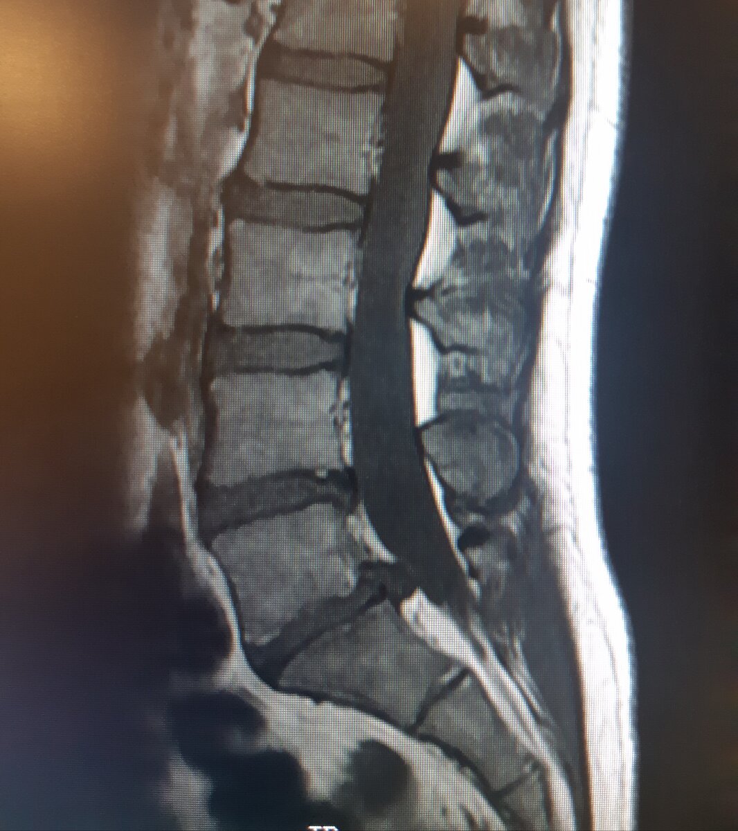 Мои родные)