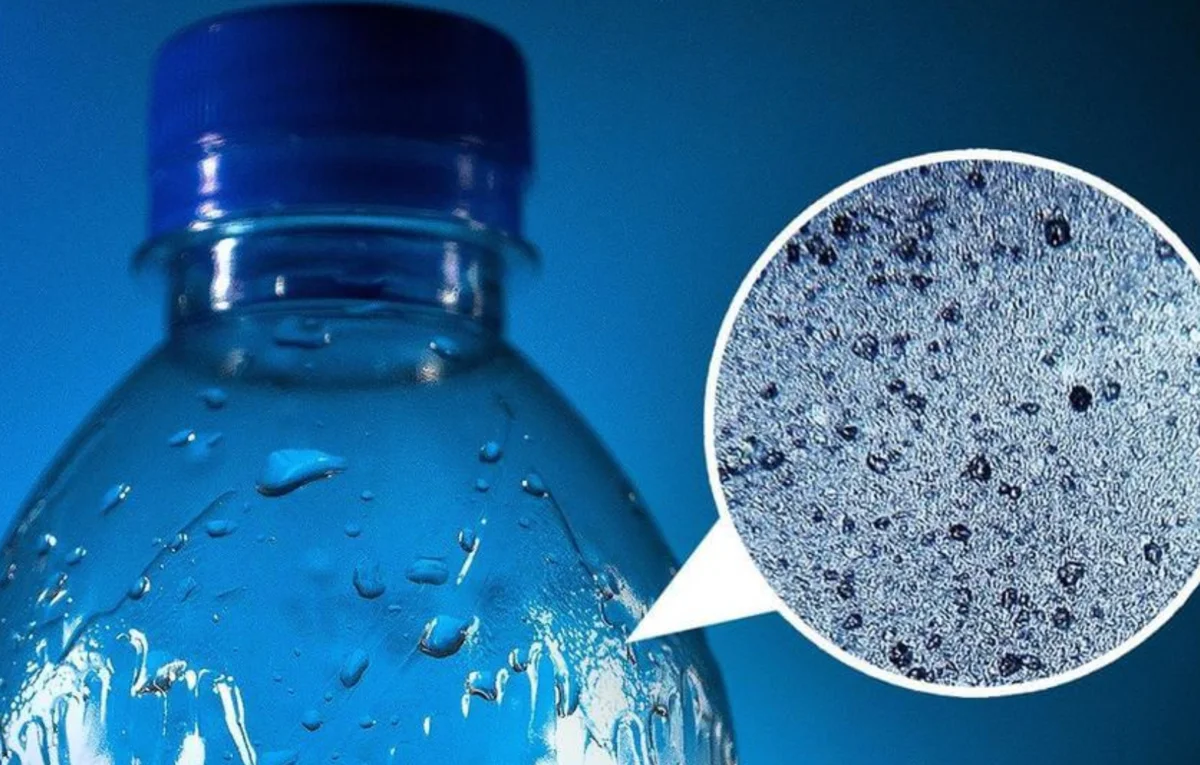 биотехнология чашки петри с микроорганизмами. биотехнология чашки петри с микроорганизмами. микроорганизмы в питьевой воде. питьевые бактерии. микроорганизмы в воде.