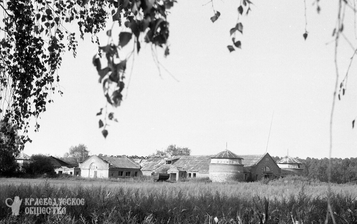 Фото В.Белко
