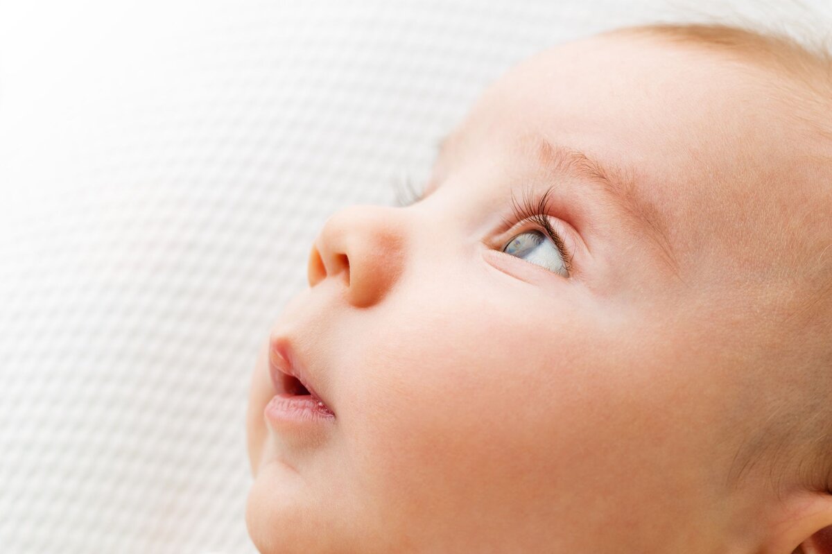 Источник Яндекс картинки