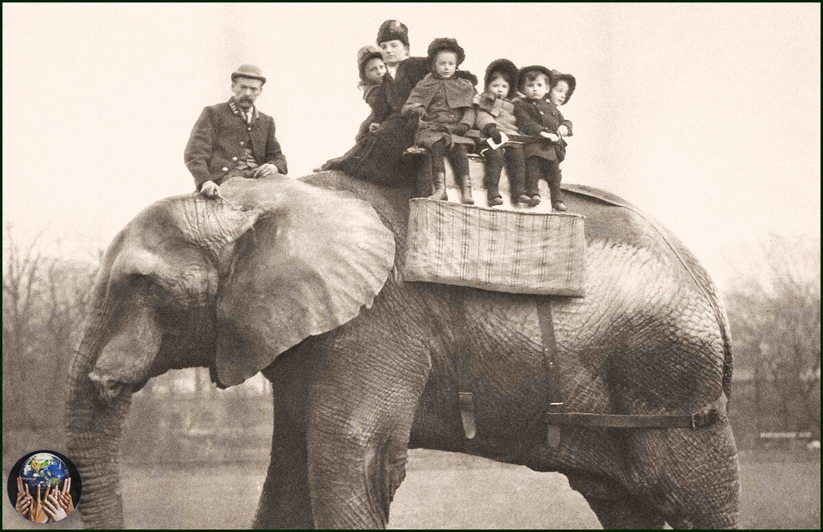 Слон Лизи- "промышленный" талисман Шеффилда