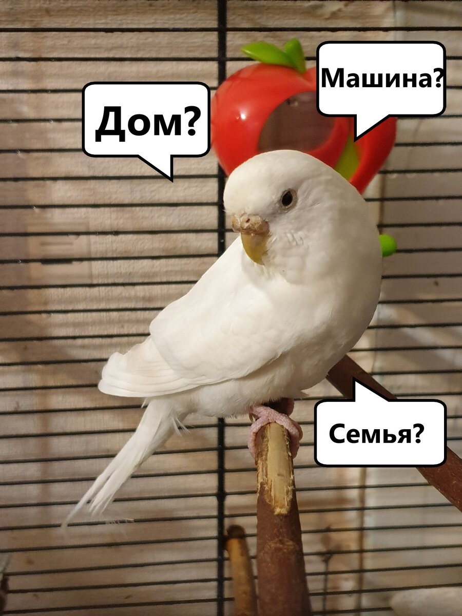 Знакомьтесь, Ксения, сейчас размышляет о смысле жизни.