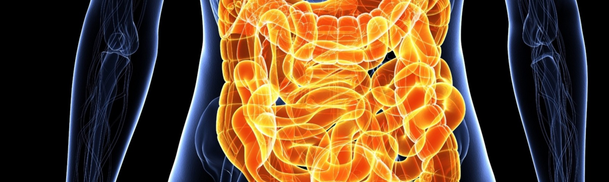 Источник: https://moydiagnos.ru