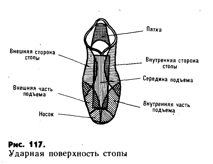 Как называется внутренняя. Внешняя сторона стопы. Внутренняя сторона стопы. Внутренняя часть стопы в футболе. Внешняя сторона стопы в футболе.