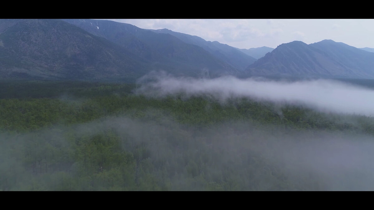 Личный архив. Кадр из фильма.