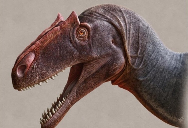 Так выглядит Allosaurus Jimmadseni в представлении художника