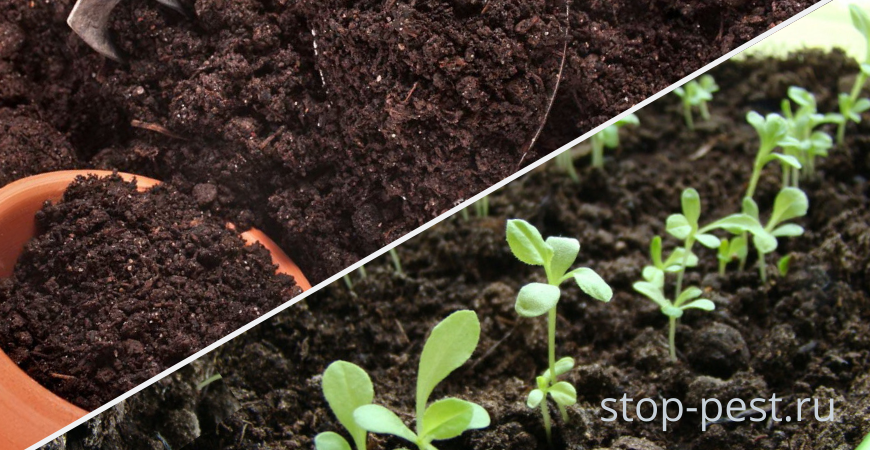 фото сайта https://stop-pest.ru/