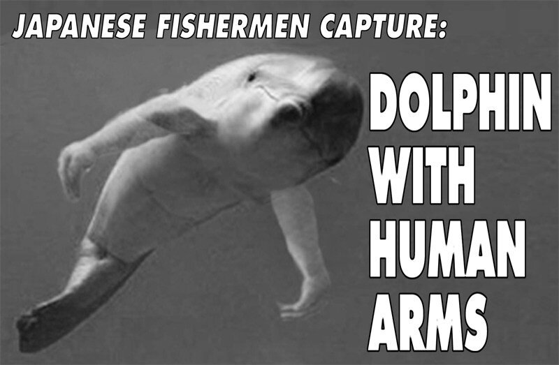 ДЕЛЬФИН С РУКАМИ!