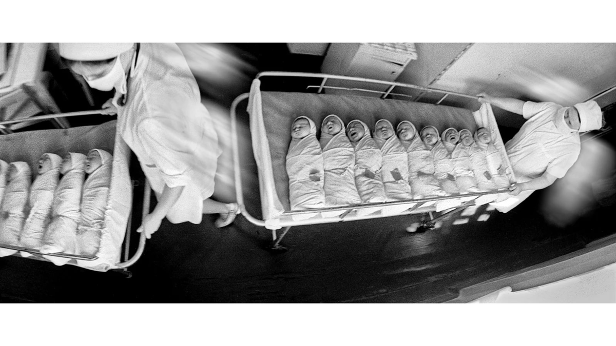 Фото из открытого источника.