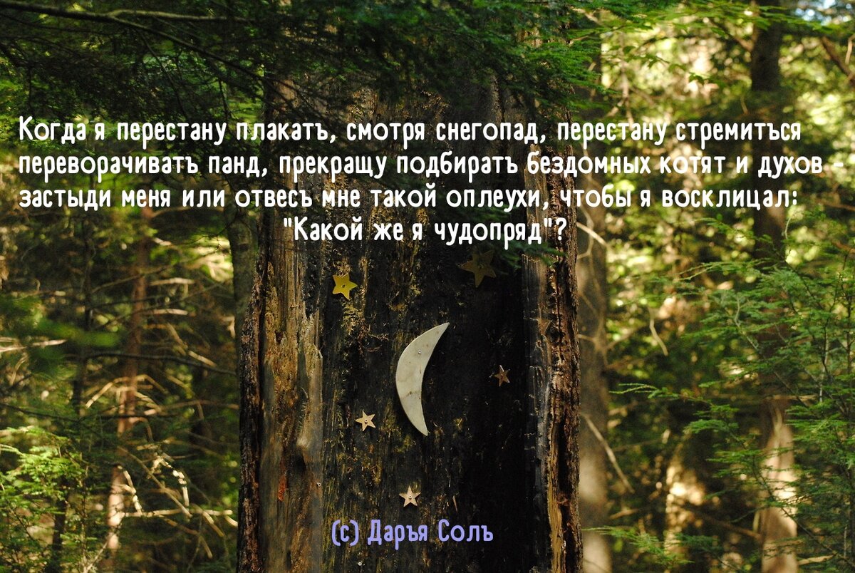 #стихи #поэзия #современная поэзия #дарьясоль #поэты 