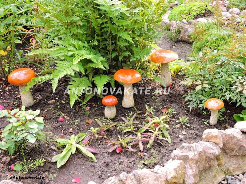Я разместила свои грибы в саду