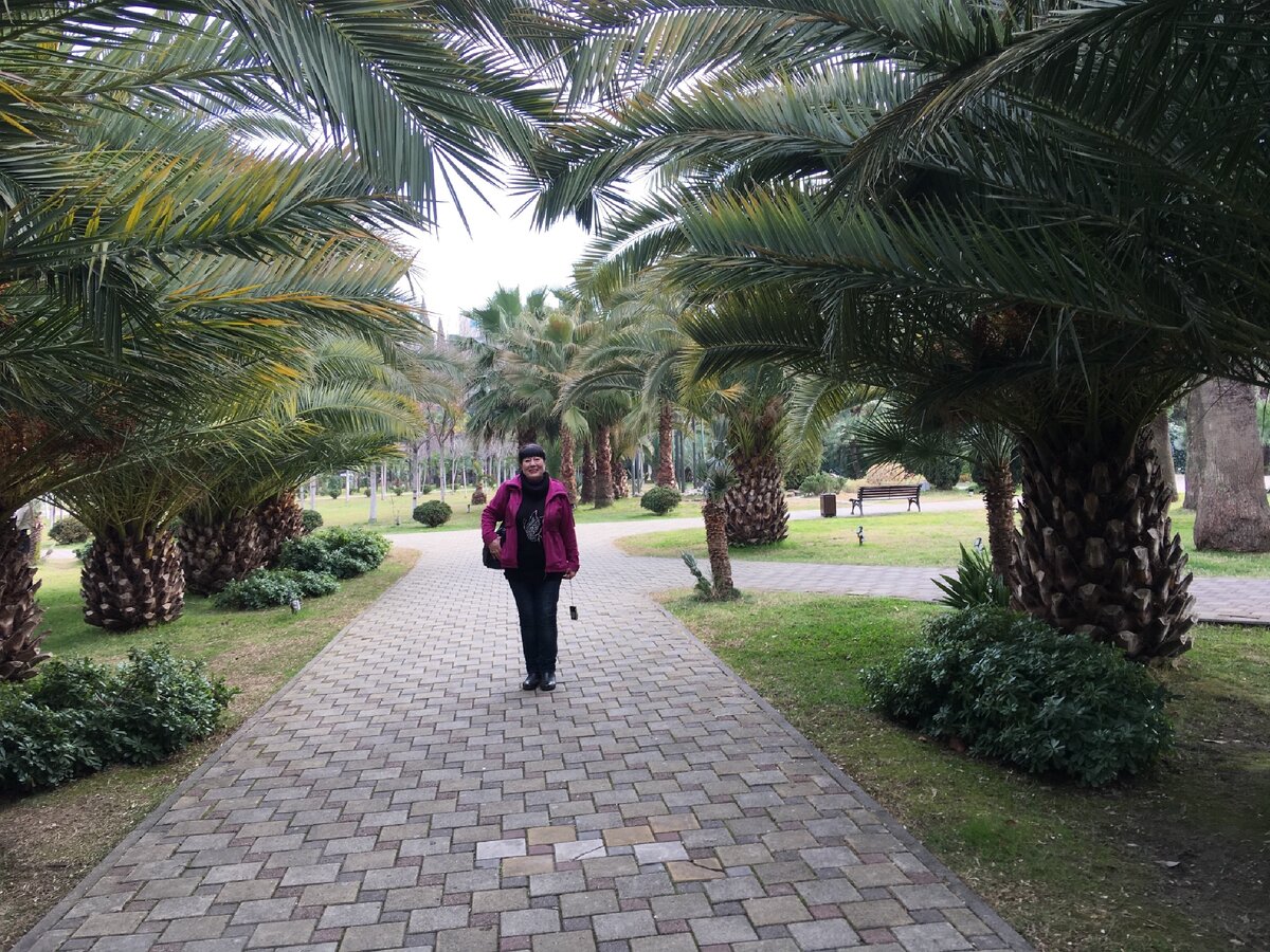 Сочи Февраль. (Фото мое)