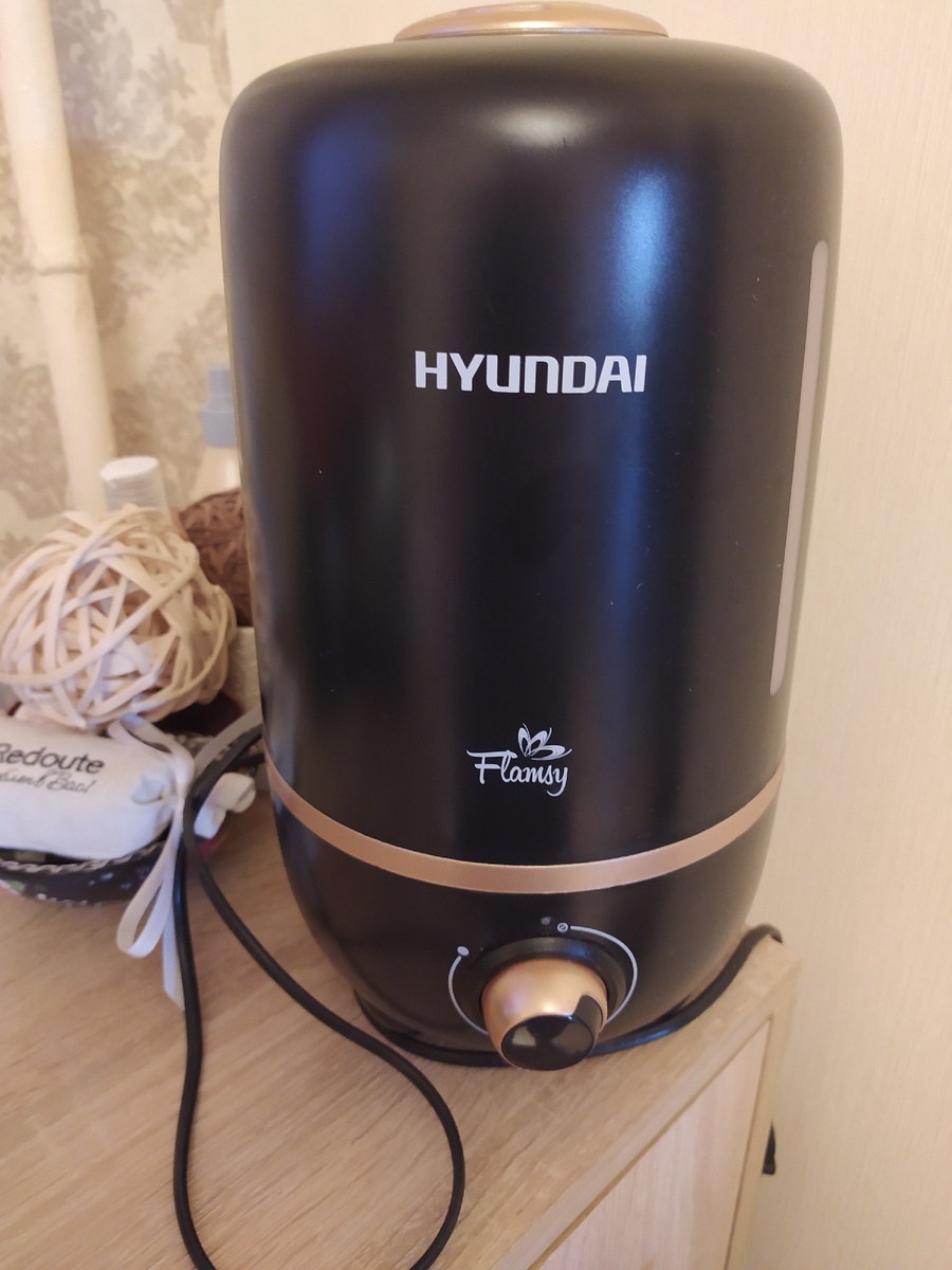 У прибора есть регулятор пара, можно выбирать интенсивность пароотдачи