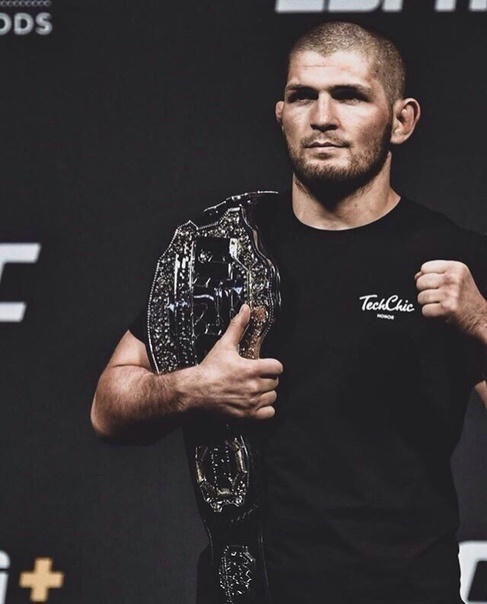 Яндекс картинки