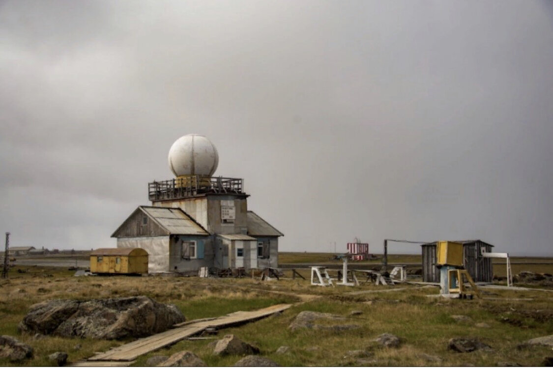 Фото из интернета Диксон