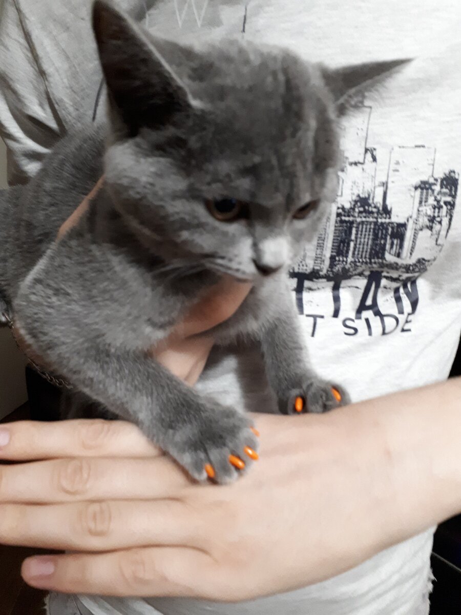 Коготки 