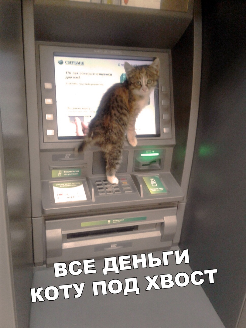 Придумайте смешную подпись к фото