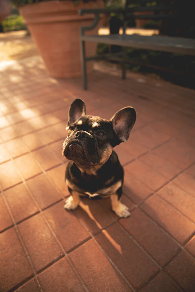 https://unsplash.com/photos/RTUsoOh9e8M