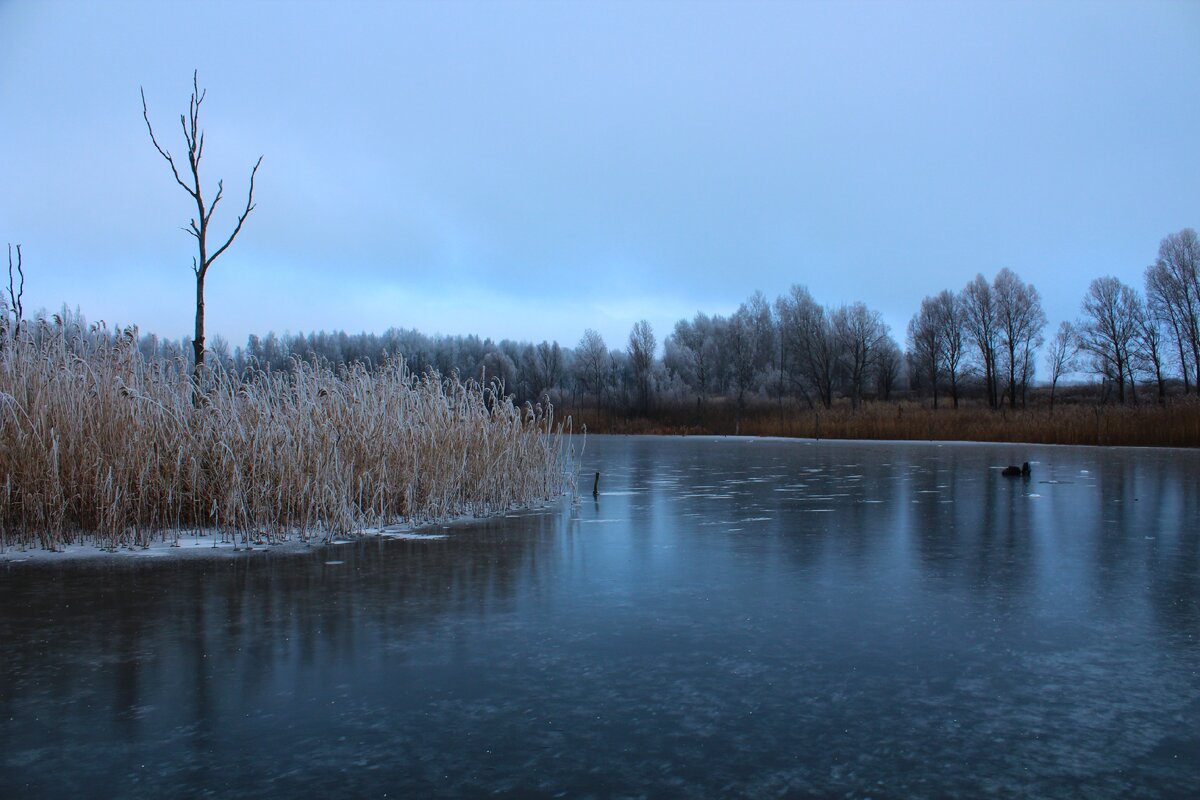 Застывшее озеро. Зимняя рыбалка