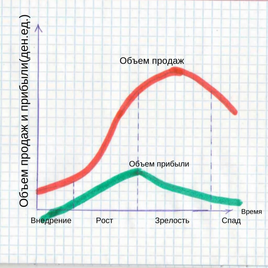 Жизненный цикл товара | Доходный магазин | Дзен