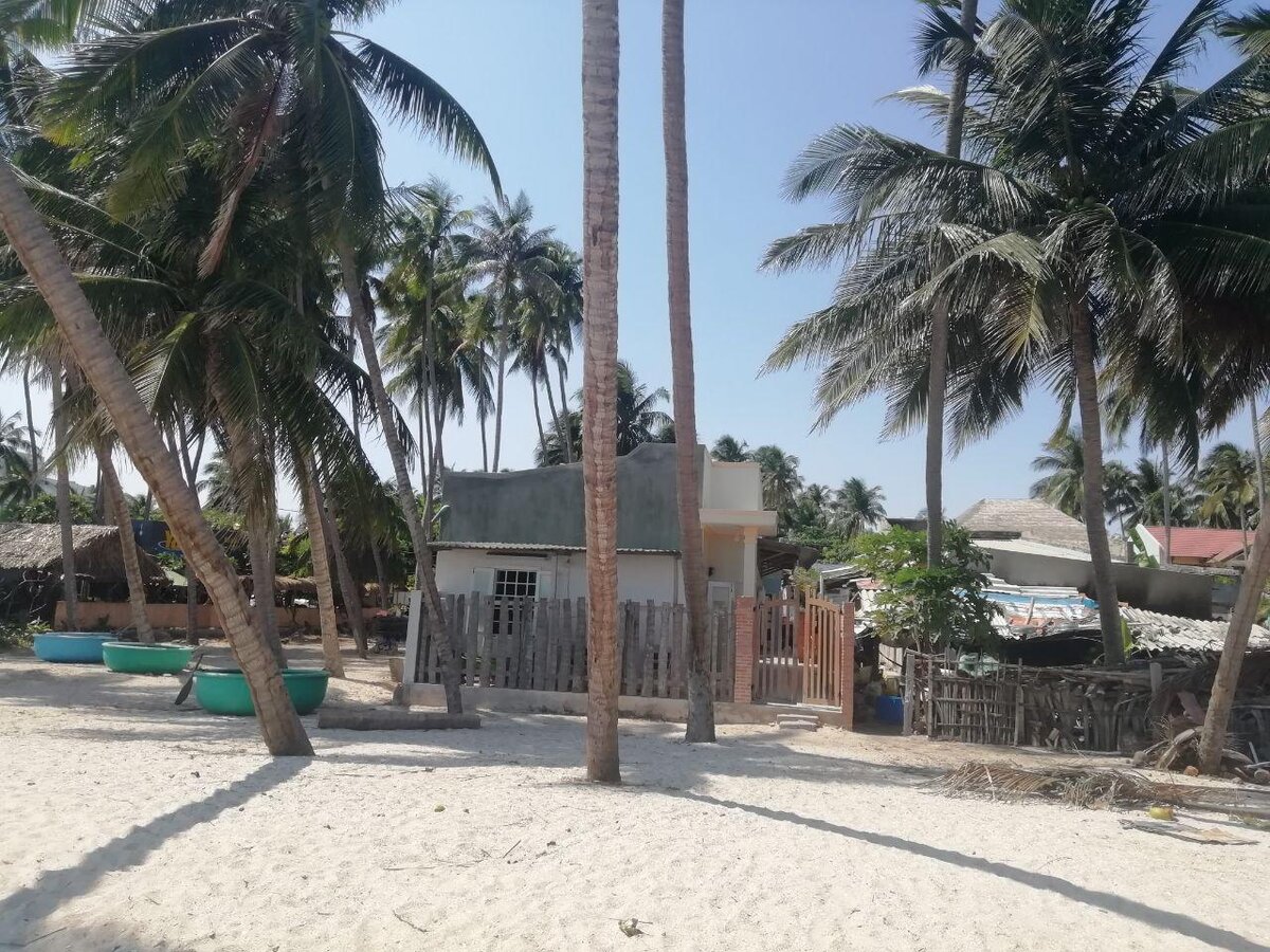 Дом, который построил вьет