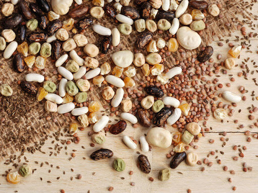 проращивание семян, проращивание, семена растений, как проращивать семена