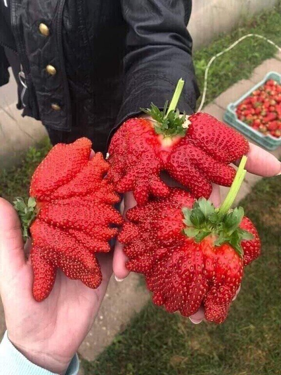 вкусная еда