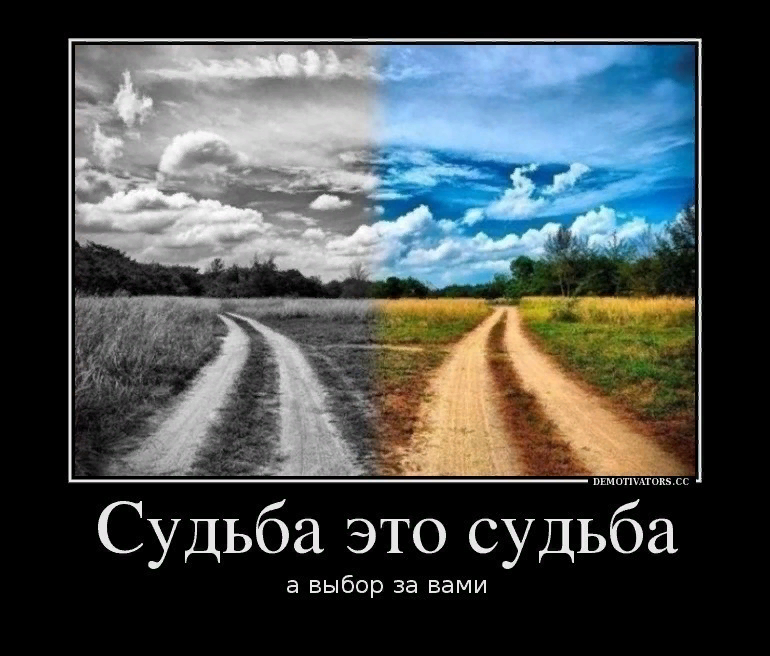 Какая бывает судьба. У каждого в жизни своя дорога. выбор в жизни. выбор дороги в жизни. судьба картинки.