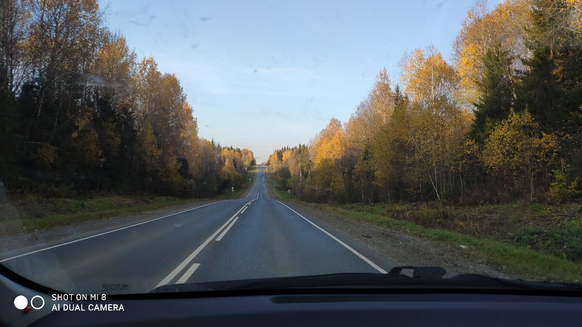 Золотая, одно слово