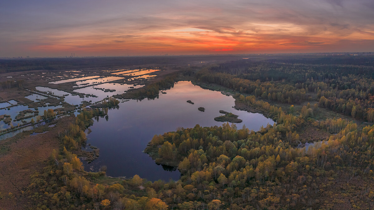 Лес Лосиный остров Москва