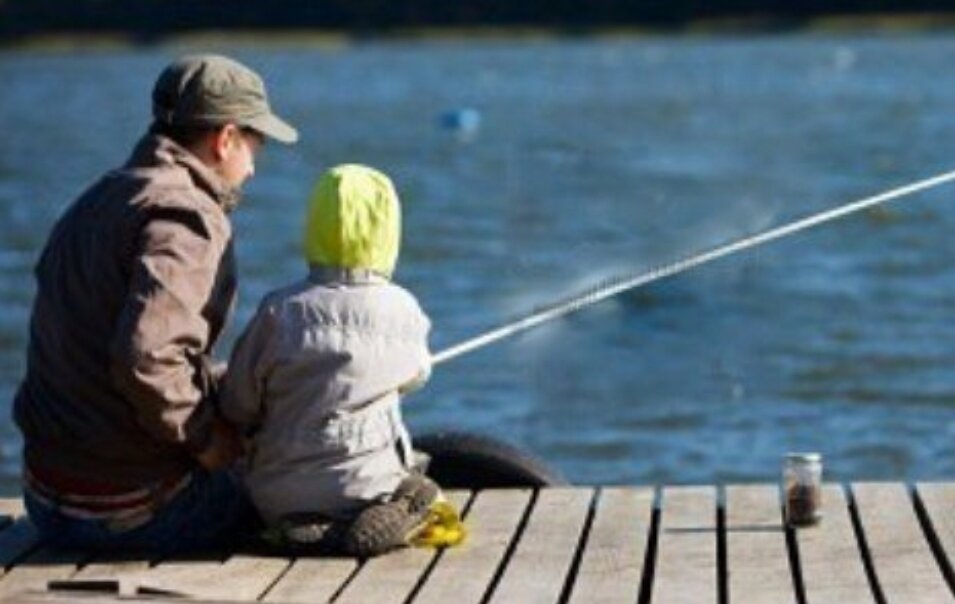 Яндекс картинки