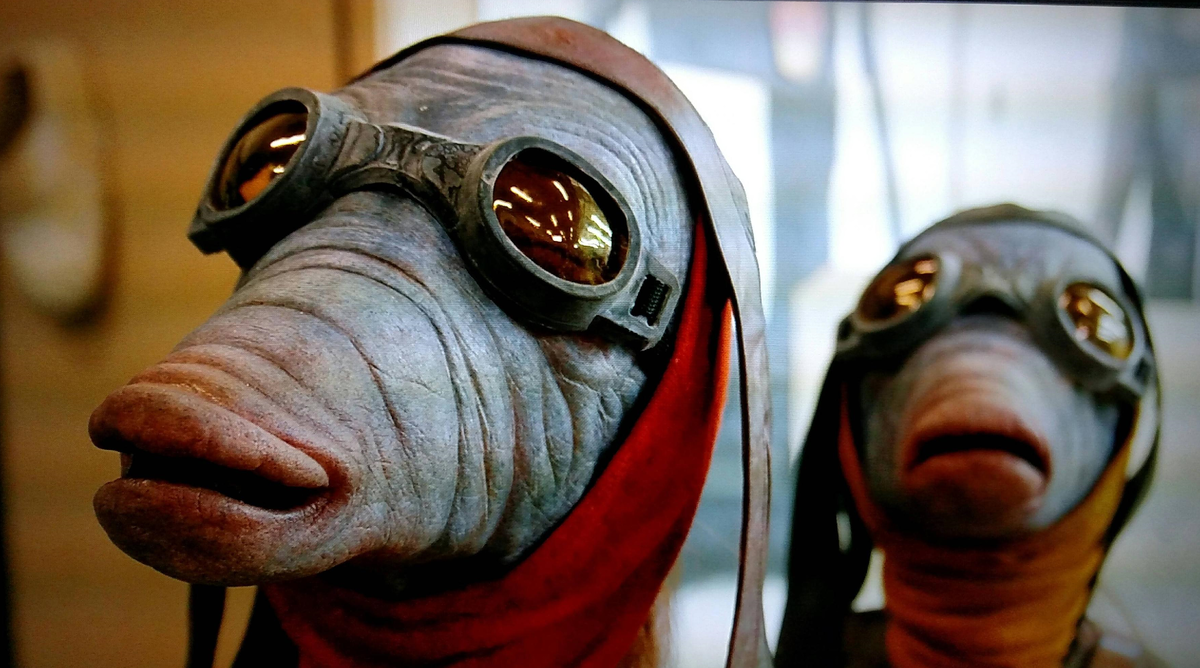 Бравазианцы (изображение взято из открытого источника)