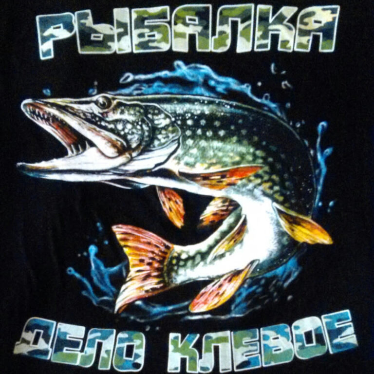 Что же любит наш любимый хищник осенью.Осень это такая пора,когда рыба начинает готовиться к зиме. Начинает много есть. Стоит выбирать приманки уже большего размера. Большой размер приманки для щуки больше привлекателен весной и осенью.Что же выбрать? Все так же.. Селиконовая приманка большего размера,начиная с 99мм, воблеры начиная со 110мм..Расцветки нужно подбирать более яркие ,кислотные цвета типа попугая или арбузного цвета.Можно пробовать натуральные цвета типа уклейки. Конечно щука не побрезгует полакомиться воблером цвета самой щуки,так как они по жизни промышляют каннибализмом. Из селиконовых приманок на джик  стоит выбирать классические цвета..цвет машинного масла, фиолет, изумруд, цвета кока колы. Кстати,фиолетовый цвет рыба лучше видит на глубине.Из колеблющихся блесен стоит обратить внимание и не бояться черных оттенков. Есть определенные блесна,которые хороши по щуке: черноспинка,атом,норидж,ну и конечно щучья блесна. Но лучше старых советских колебалок я еще не встречал. Осенью щука так же любит выходить на мелководье, стоит взять с собой воблеры с небольшим заглублением до 0,5м,либо поверхносные воблера.